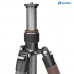 Leofoto LX-225CT Tripod with BV-1R Video Head & Wulf Nova Spotting Scope